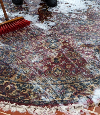 Bellevue Rug Cleaning
