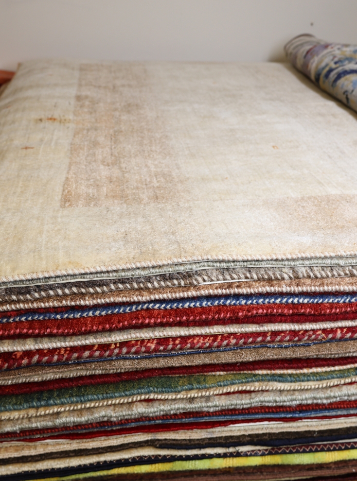 bellevue rugs shop